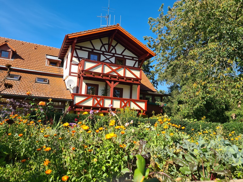 Birkenbuehl